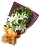 林甸鲜花速递